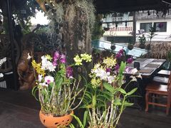 -自然餐厅(Phuket)