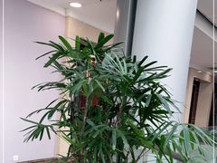 -梦想空间私人影院(金山万达店)