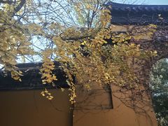 -西园戒幢律寺