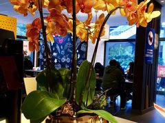 -麦当劳(金平路站店)