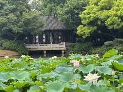 -杭州西子湖四季酒店·金沙厅