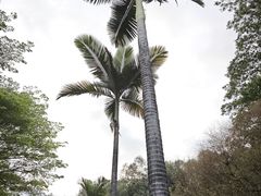 -东莞植物园