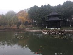 -天目湖山水园