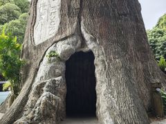 -青青世界