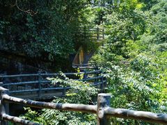 -大鄣山卧龙谷景区