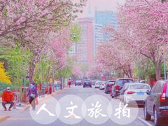 -岳阳道小学(大理道校区)
