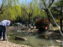 -苏州河梦清园环保主题公园