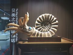 -贝壳王国博物馆