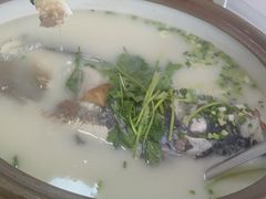 -天乐农家鱼头王(天目湖店)