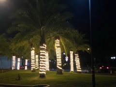 -野狸岛