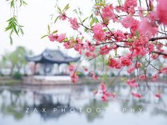 -无锡蠡湖国家湿地公园-蠡园