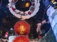 -杭州龙禧福朋喜来登酒店