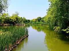 -梁鸿国家湿地公园