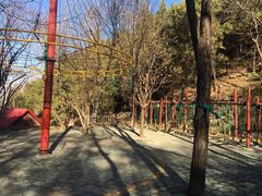 -原山国家森林公园