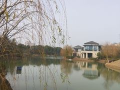 -暨阳湖生态园