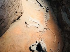 -浙江自然博物院(杭州馆)