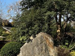 -新荣记(西溪湿地店)