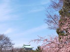 -名古屋城