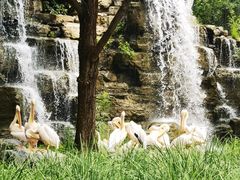 -北京野生动物园