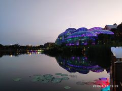 -大塘金香草谷