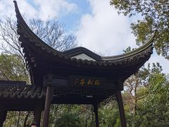 -上海佘山国家森林公园天马山园