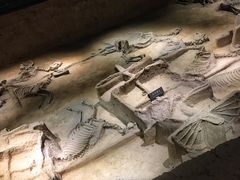 -洛阳周王城天子驾六博物馆