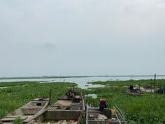 -七的湖·晚芳亭·阳澄湖农家菜·大闸蟹(莲花岛店)