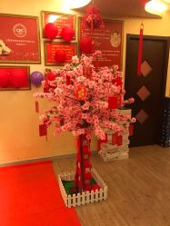 -YZ誉株·塑颜美容中心