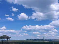 -御道口草原森林风景区