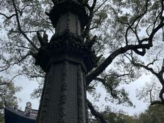 -普陀山风景名胜区-法雨禅寺
