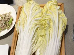 -蝎王府羊蝎子(西直门店)