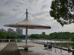 -新江湾城公园