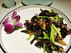 -雲蜀龙阁·金牌水煮鱼(方庄店)