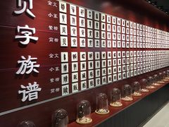 -青岛贝壳博物馆
