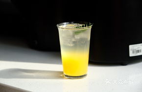 Homemade Sparkling Drink