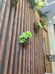 点击看大图 -芳朵美容养生SPA