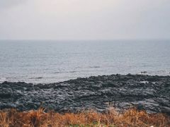 -龙头岩(Dragon Head Rock)
