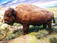 -陕西自然博物馆