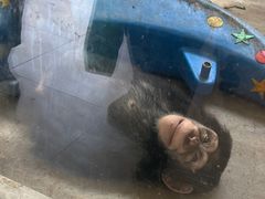 -石家庄市动物园