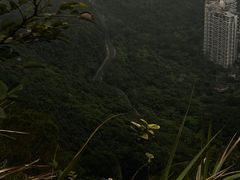 -梧桐山风景名胜区