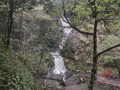 -石台牯牛降景区