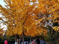 -北京市海淀外国语实验学校