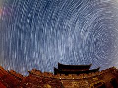 -盐城丹顶鹤湿地生态旅游区