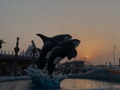-上海海昌海洋公园