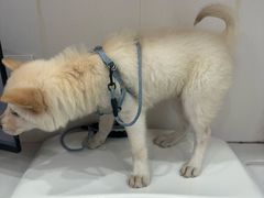 -博特宠物医院24h犬猫全科.骨科·异宠