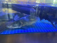 -鱼豆吉·豆浆鱼火锅(宜昌万达店)
