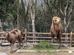 -宁波野生动物园