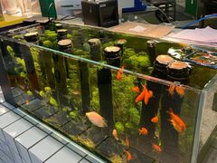-扎起市井老火锅(乐山总店)