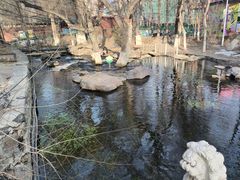 -水磨沟公园