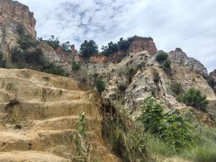 -彩色沙林风景区